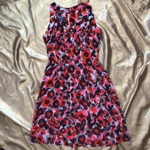Like NEW!  Floral Donna Ricco Dress